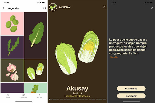 Pantallas iteradas de la app
